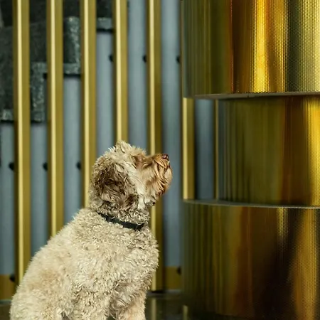 Szálloda The Den, 's-hertogenbosch, A Tribute Portfolio 's-Hertogenbosch (Den Bosch)