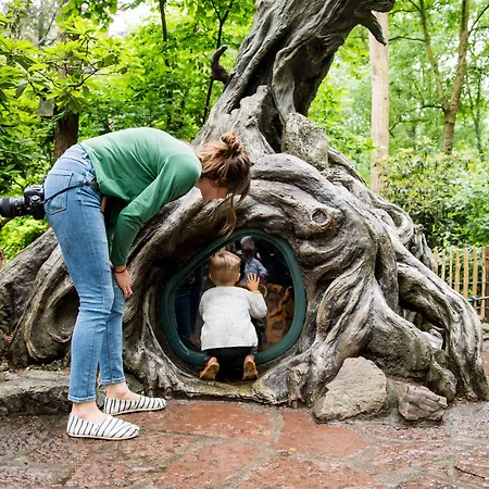 The Den, 's-hertogenbosch, A Tribute Portfolio By Marriott