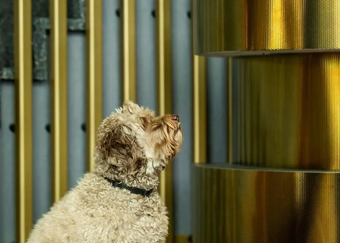 Hotel The Den, 's-hertogenbosch, A Tribute Portfolio 's-Hertogenbosch (Den Bosch)