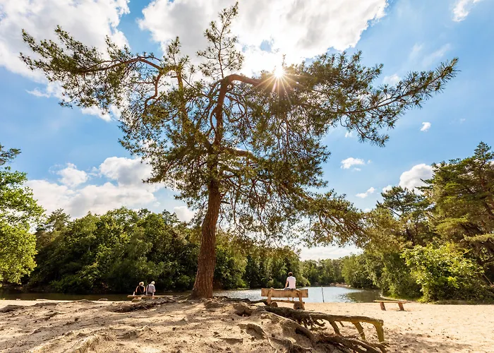 The Den, 's-hertogenbosch, A Tribute Portfolio By Marriott